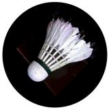Badminton MAXI logo L 2 č.160