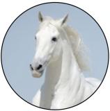 Hlava koně MINI logo L1č.181