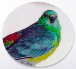 Papoušek zpìvavý MAXI logo