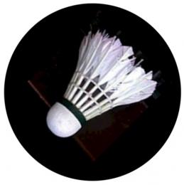 Badminton MINI logo L 1 è.160